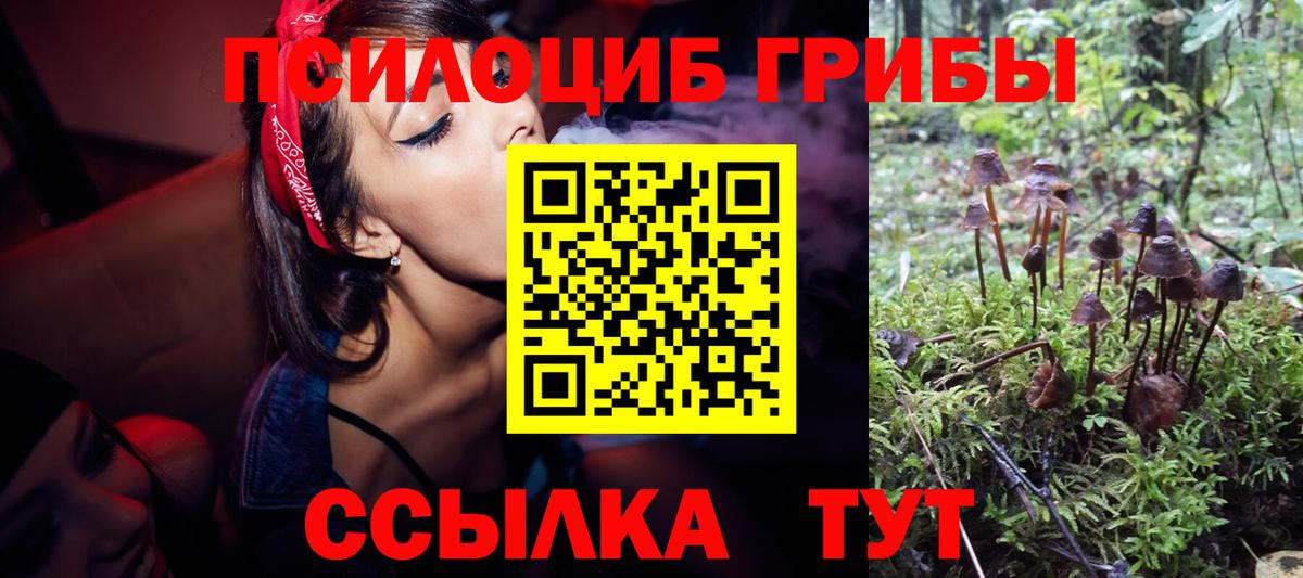 Галлюциногенные грибы мицелий Выкса
